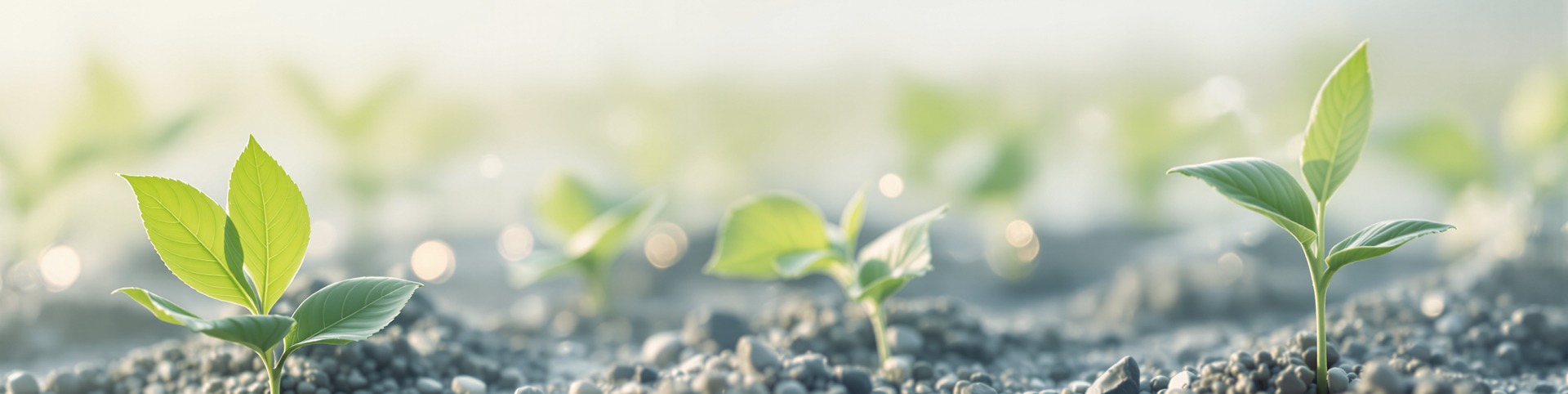 BLOCK CRS - ESG Management banner